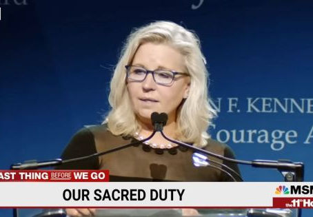The Right Resistance: ‘Enigma’ Liz Cheney and the real meaning of her anti-Trump hatred