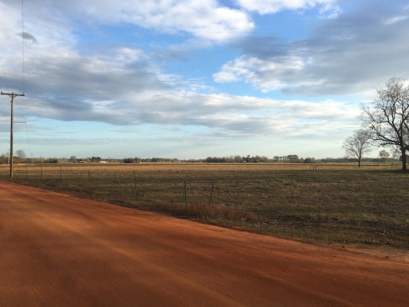 Alabama cow pasture