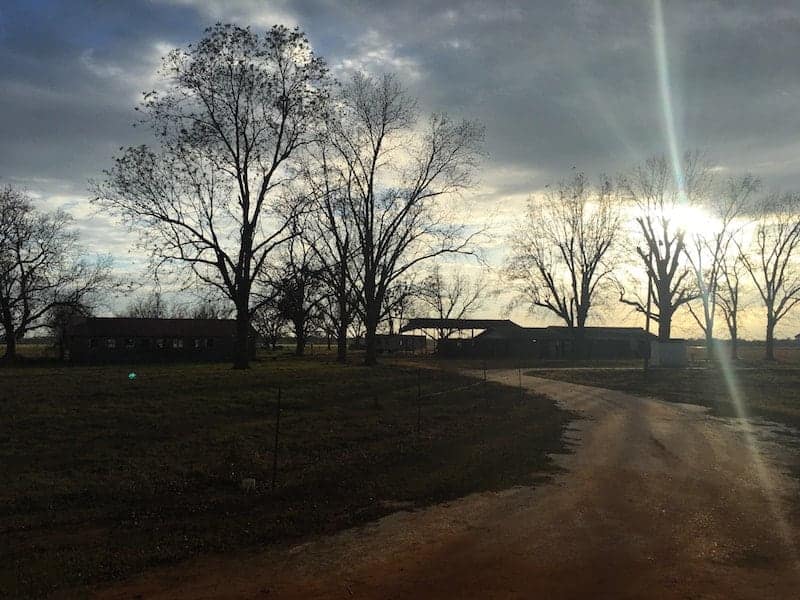 sunset over farm in alabama