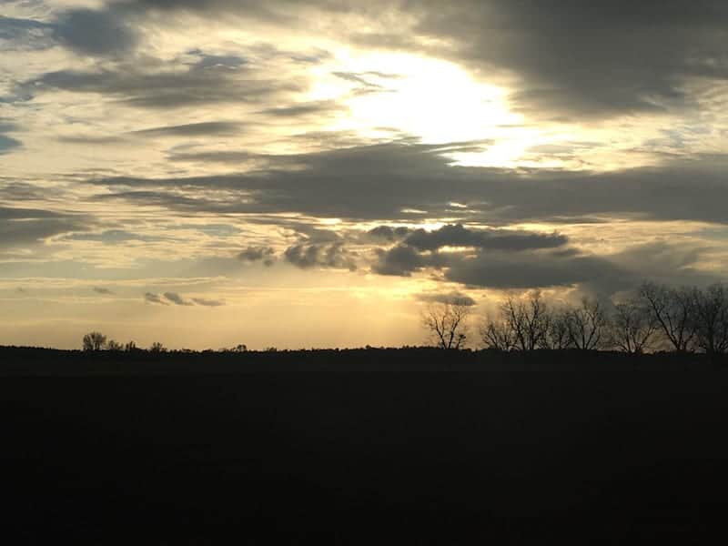 Sunset over field 