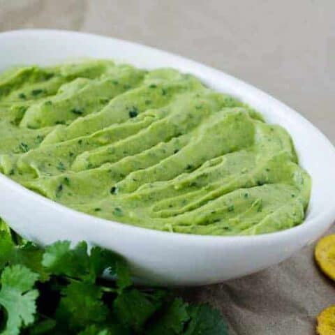 Cumin-Lime Avocado Dip | PaleoScaleo.com