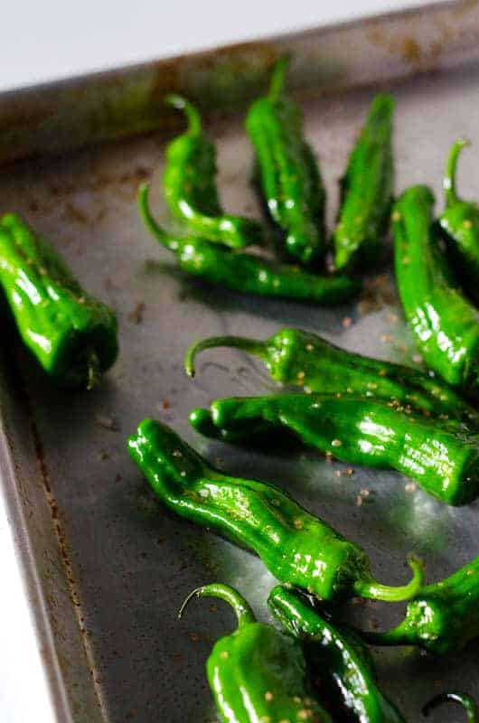 Shishito peppers on roasting pan with oil and salt