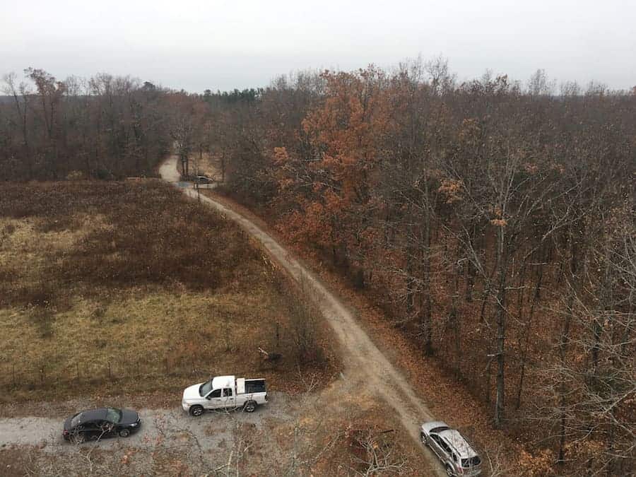 view from the top of the ministers treehouse